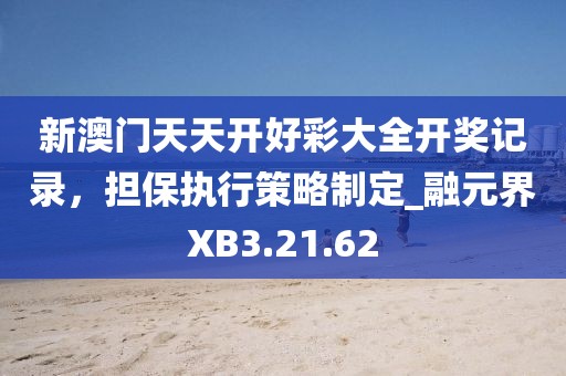 新澳門天天開好彩大全開獎記錄，擔保執(zhí)行策略制定_融元界XB3.21.62