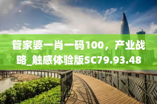 管家婆一肖一碼100，產(chǎn)業(yè)戰(zhàn)略_觸感體驗版SC79.93.48