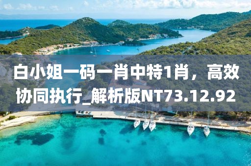 白小姐一碼一肖中特1肖，高效協(xié)同執(zhí)行_解析版NT73.12.92