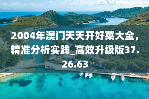 2004年澳門天天開好菜大全，精準(zhǔn)分析實(shí)踐_高效升級版37.26.63