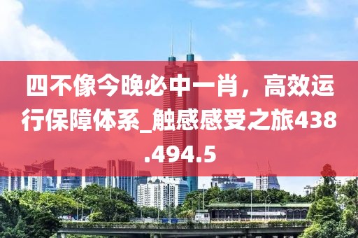 四不像今晚必中一肖，高效運行保障體系_觸感感受之旅438.494.5