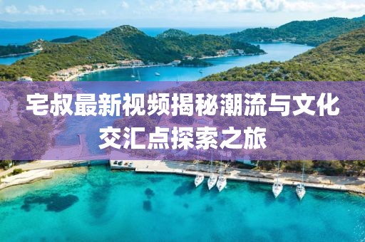 宅叔最新視頻揭秘潮流與文化交匯點(diǎn)探索之旅
