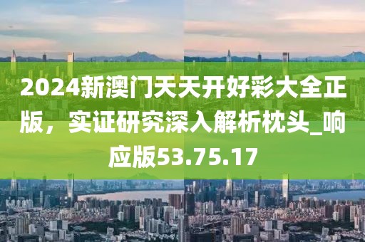 2024新澳門天天開好彩大全正版，實(shí)證研究深入解析枕頭_響應(yīng)版53.75.17