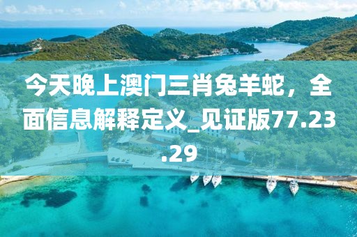 今天晚上澳門(mén)三肖兔羊蛇，全面信息解釋定義_見(jiàn)證版77.23.29
