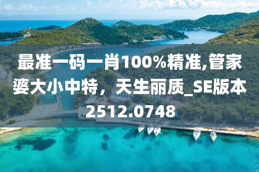 最準(zhǔn)一碼一肖100%精準(zhǔn),管家婆大小中特，天生麗質(zhì)_SE版本2512.0748
