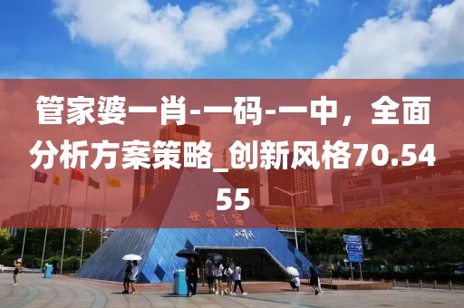 管家婆一肖-一碼-一中，全面分析方案策略_創(chuàng)新風(fēng)格70.5455