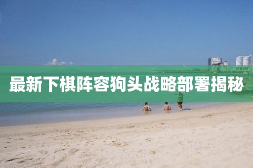 最新下棋陣容狗頭戰(zhàn)略部署揭秘