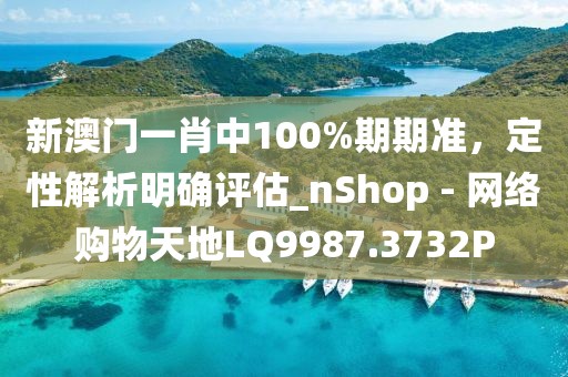 新澳門一肖中100%期期準(zhǔn)，定性解析明確評(píng)估_nShop - 網(wǎng)絡(luò)購物天地LQ9987.3732P