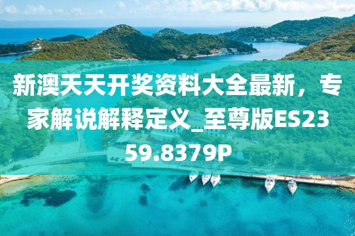 新澳天天開獎資料大全最新，專家解說解釋定義_至尊版ES2359.8379P