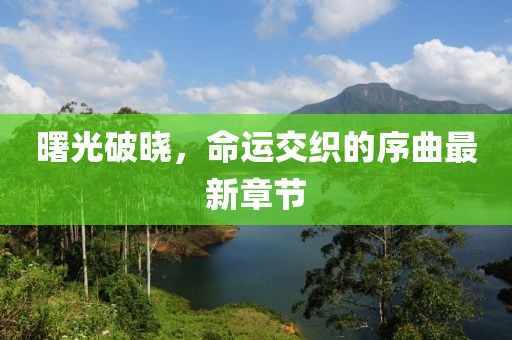 曙光破曉，命運(yùn)交織的序曲最新章節(jié)