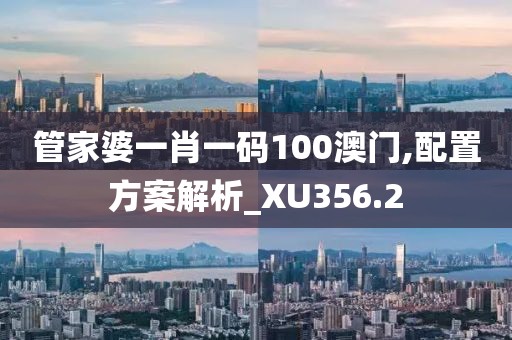 管家婆一肖一碼100澳門(mén),配置方案解析_XU356.2