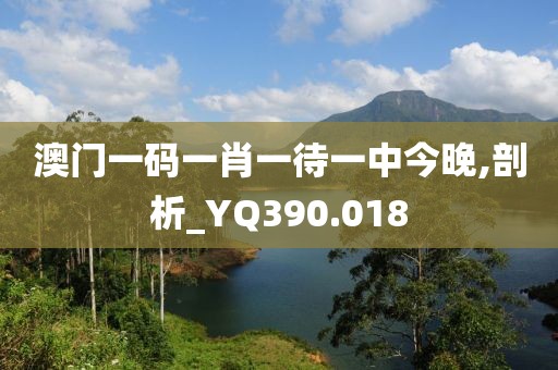 澳門一碼一肖一待一中今晚,剖析_YQ390.018