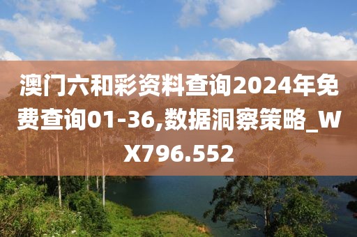 澳門六和彩資料查詢2024年免費查詢01-36,數(shù)據(jù)洞察策略_WX796.552