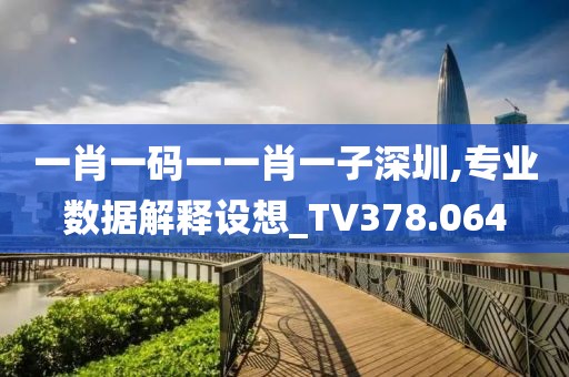 一肖一碼一一肖一子深圳,專業(yè)數(shù)據(jù)解釋設(shè)想_TV378.064