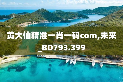 黃大仙精準(zhǔn)一肖一碼com,未來(lái)_BD793.399