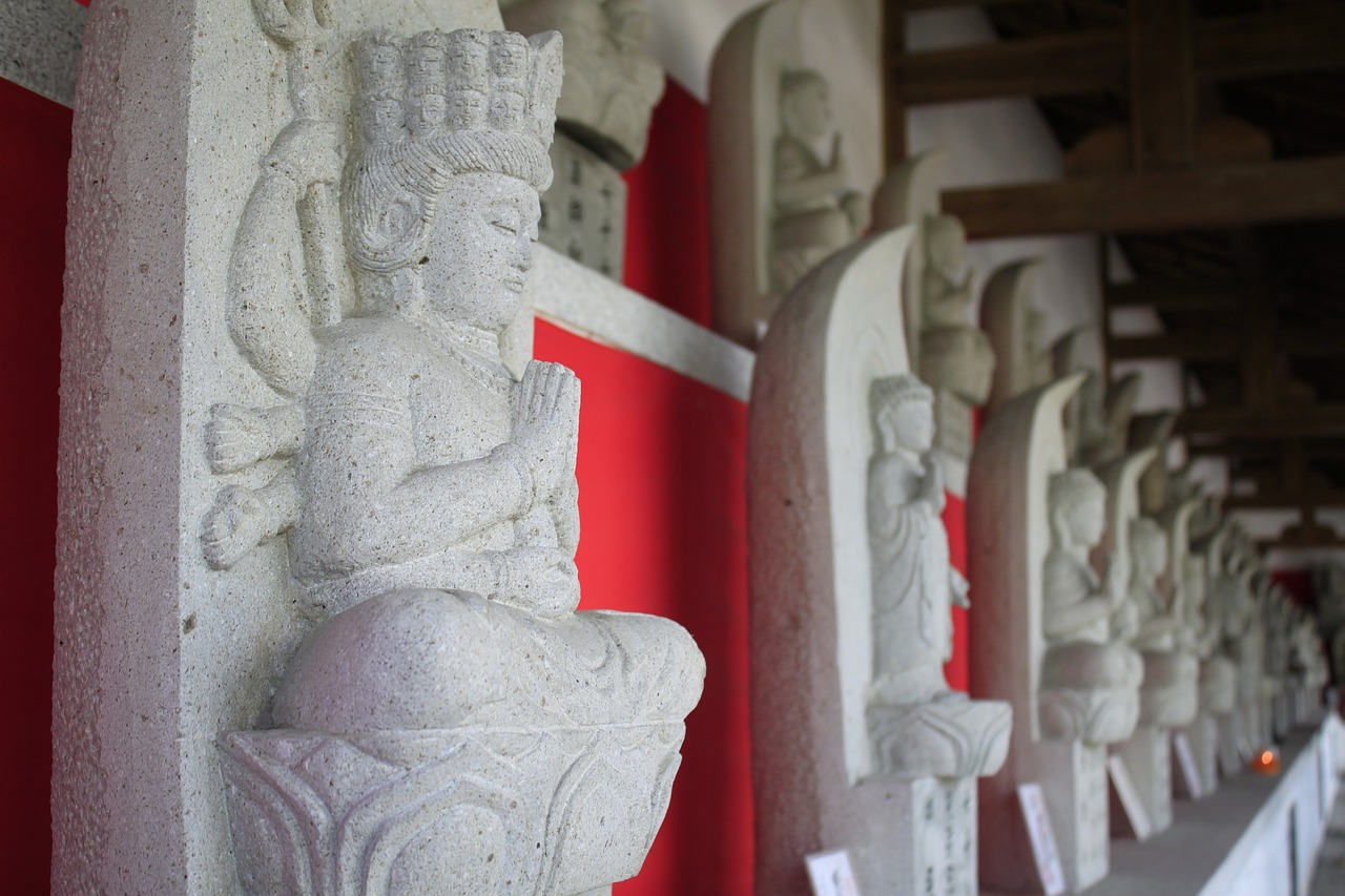 和平精英柔柔最新動態(tài)與風采展現(xiàn)，最新消息與魅力展示