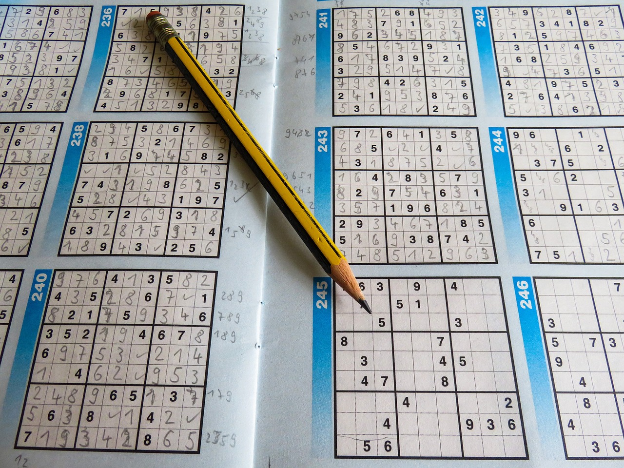 2024新澳正版免費(fèi)資料大全，實(shí)時(shí)解答規(guī)劃_智慧升級(jí)版CU22.61.24