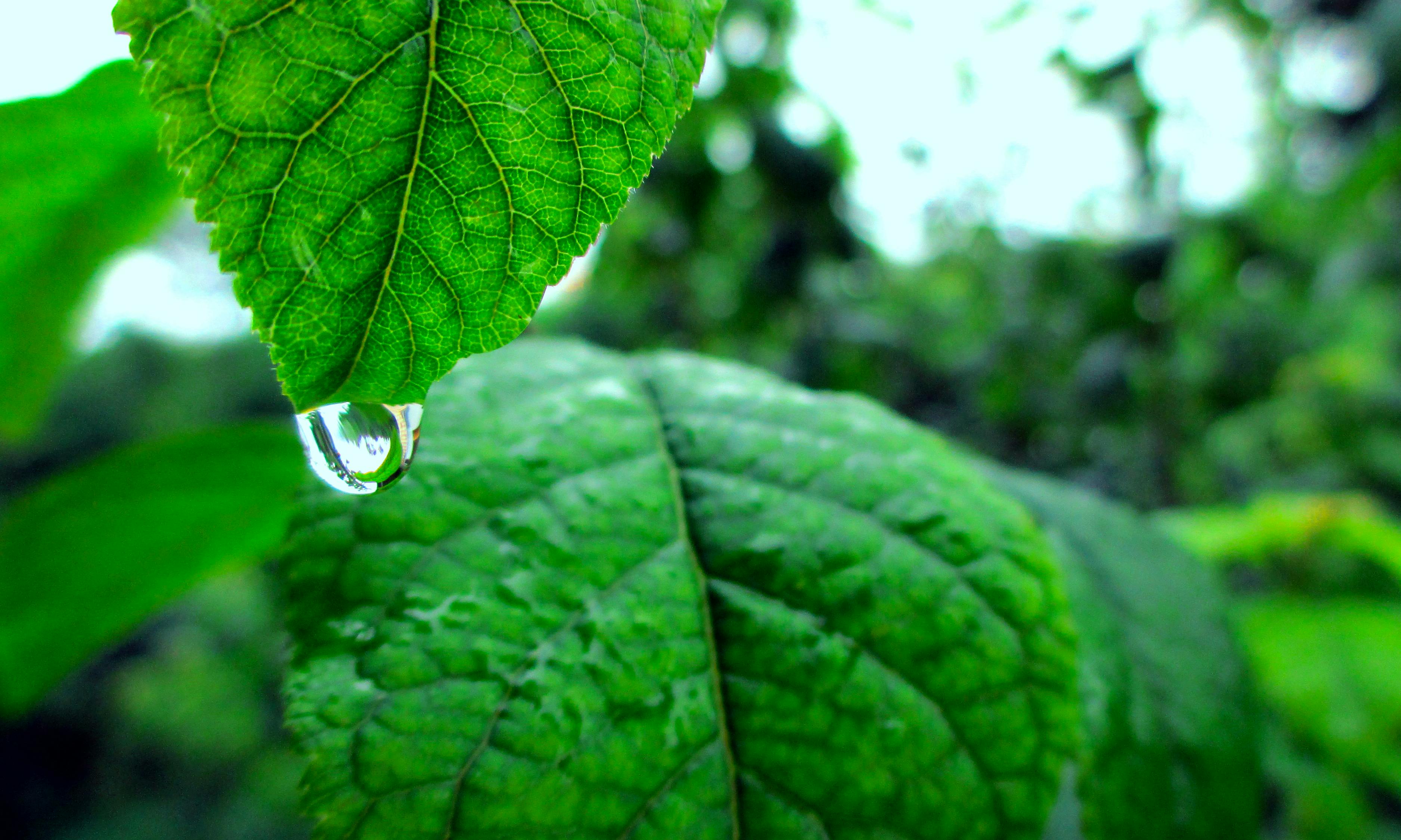 全國(guó)最新降雨消息，氣象預(yù)警與各地實(shí)時(shí)動(dòng)態(tài)分析報(bào)告