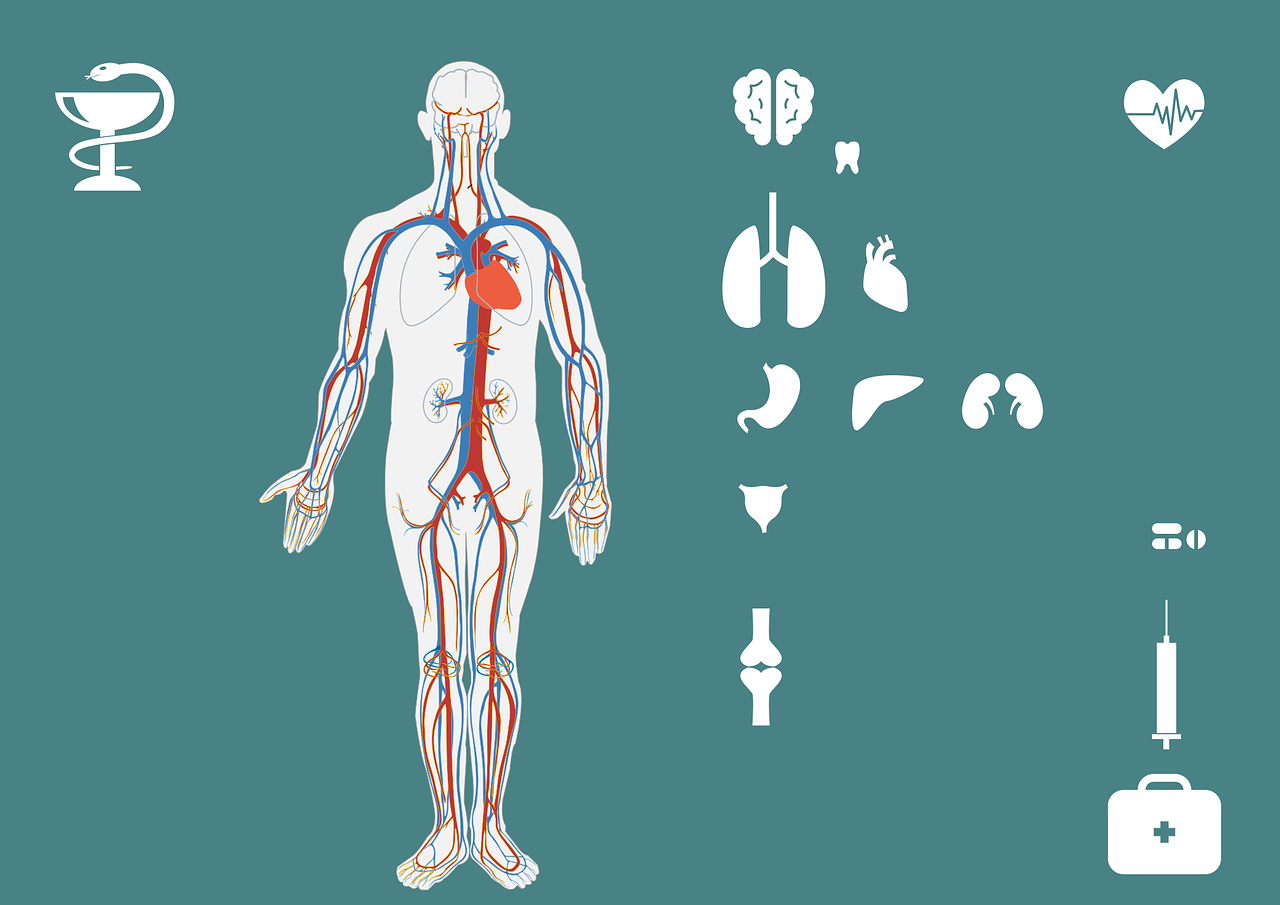 海南最新疫況全面應(yīng)對(duì)，守護(hù)健康之島的措施與進(jìn)展