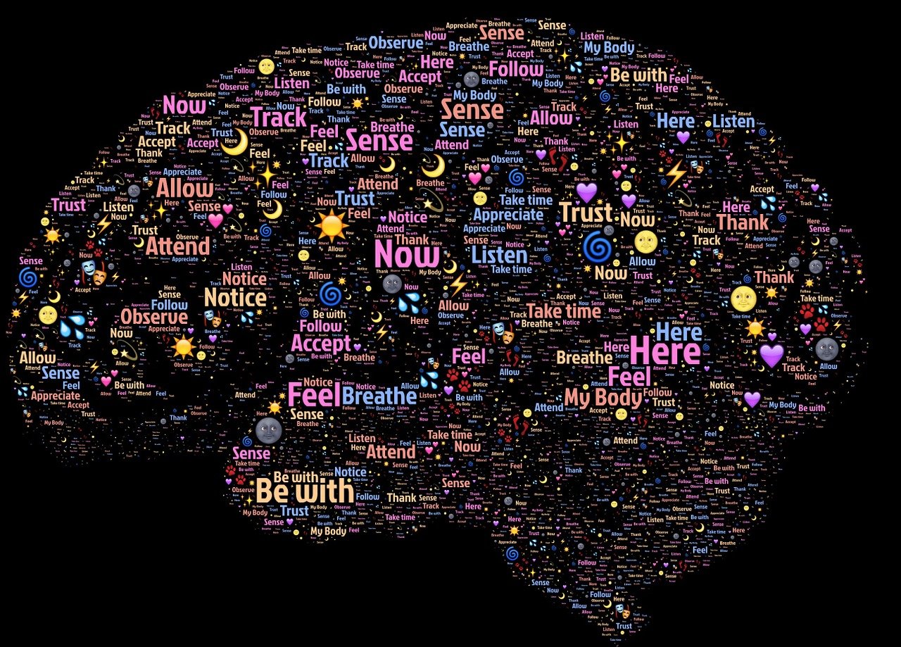 毛中特理論與實踐的新發(fā)展解讀最新動態(tài)