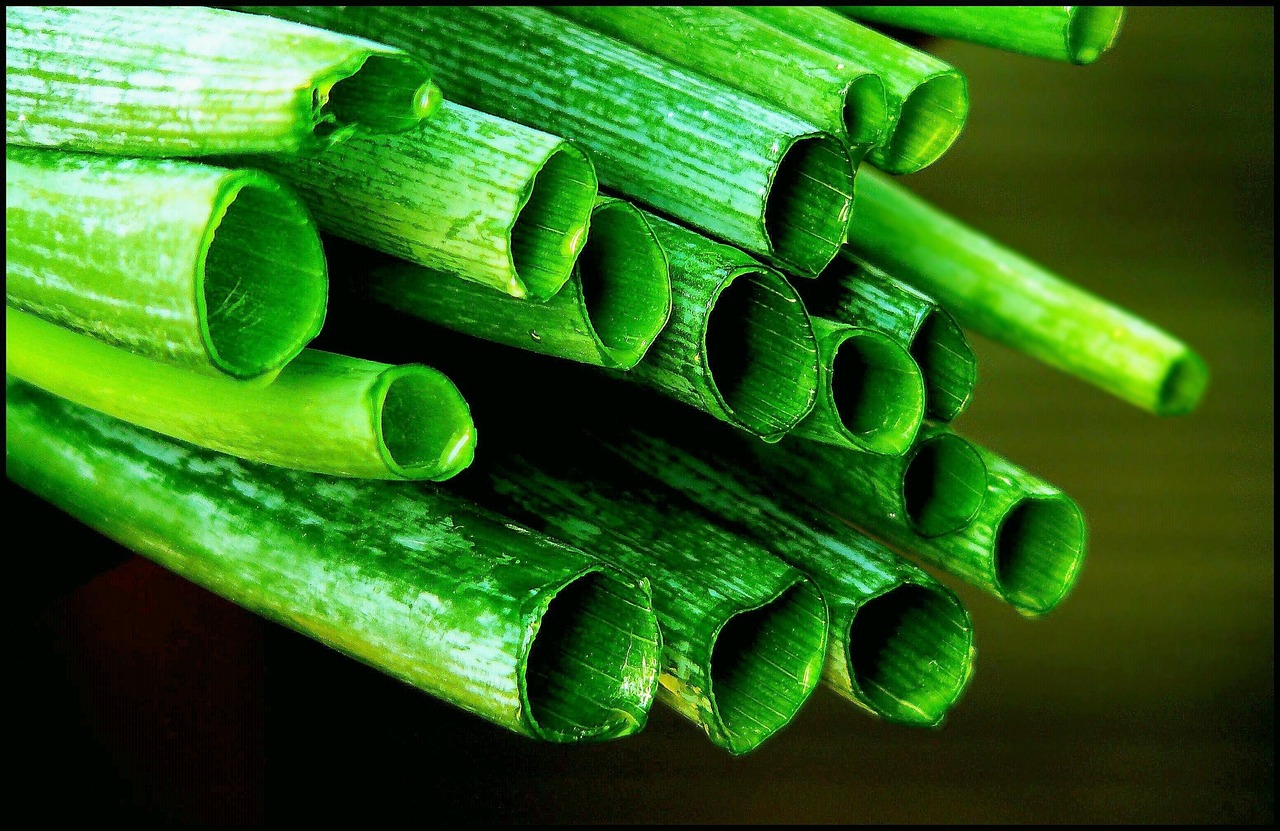聊城最新蔬菜大棚，科技創(chuàng)新驅(qū)動現(xiàn)代農(nóng)業(yè)蓬勃發(fā)展