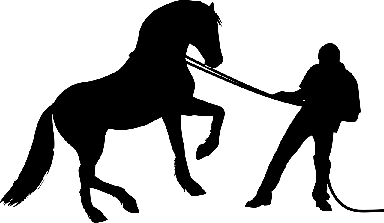 最新腿步舞，引領(lǐng)時(shí)尚潮流的健身新寵舞動(dòng)風(fēng)采