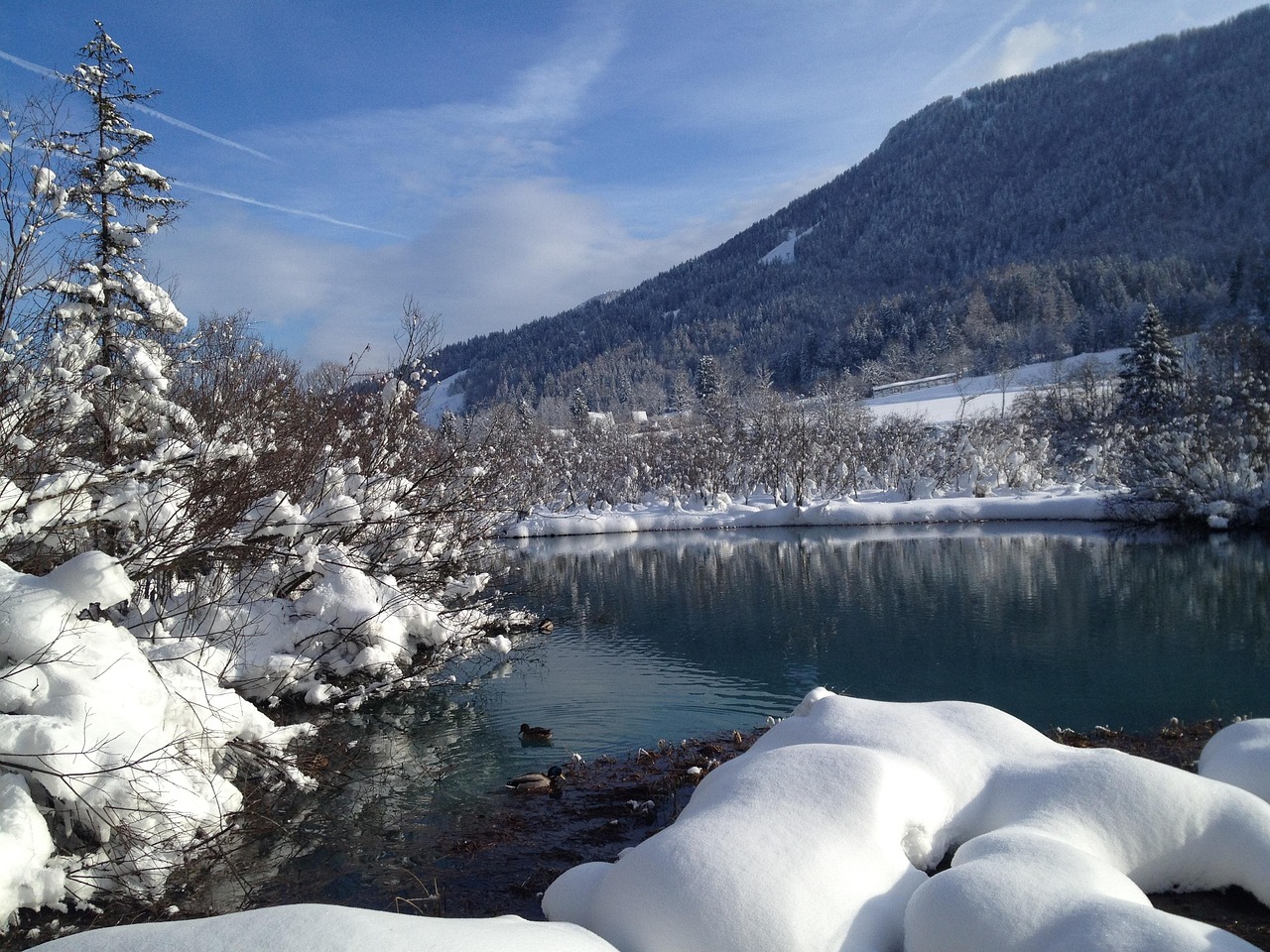 最新湖看雪，冬日邂逅的美麗畫卷