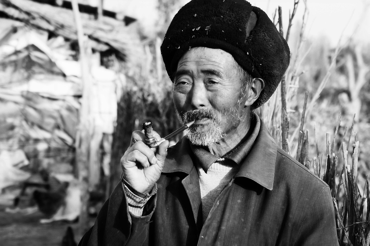 朱家驊，歷史長河中的杰出人物新探