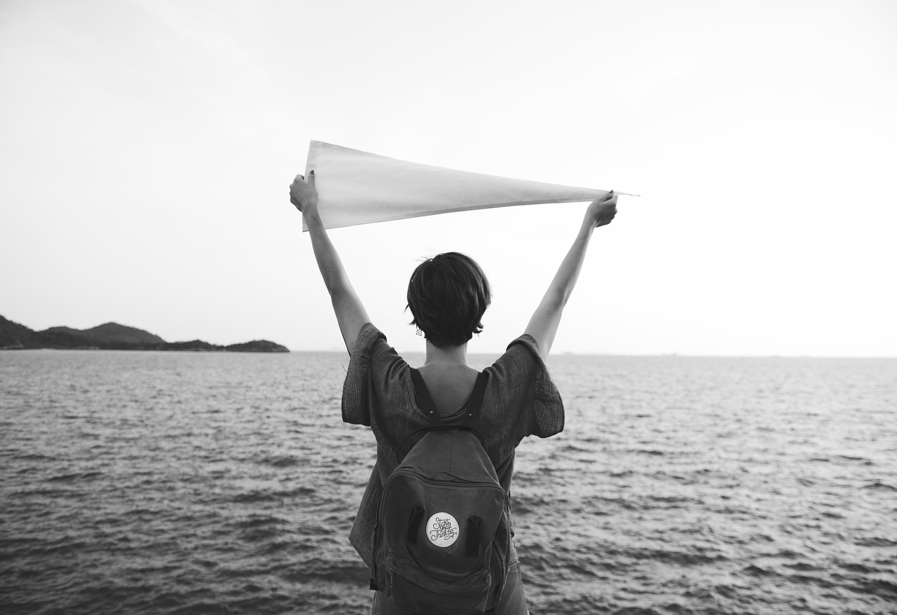 野鴨子最新網(wǎng)，探索與發(fā)現(xiàn)的旅程