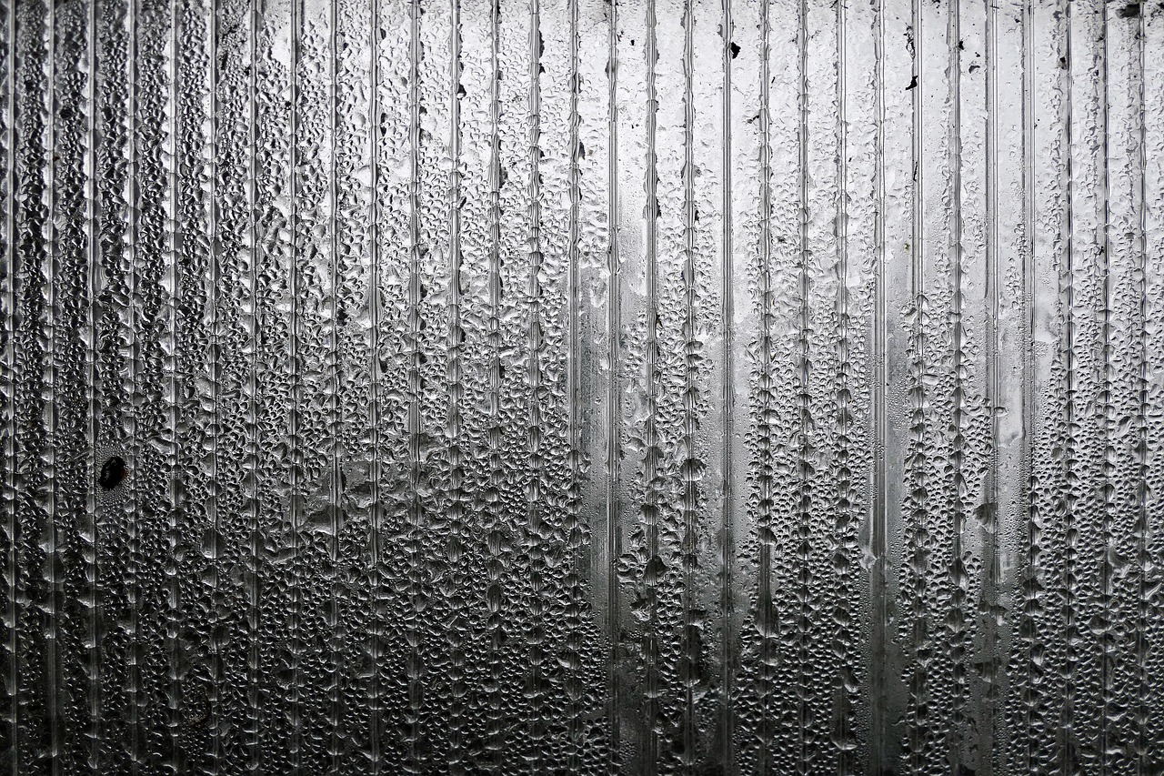 雨后的溫暖 第11頁
