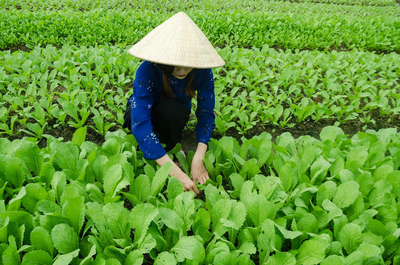 昌吉市最新發(fā)展動(dòng)態(tài)概覽