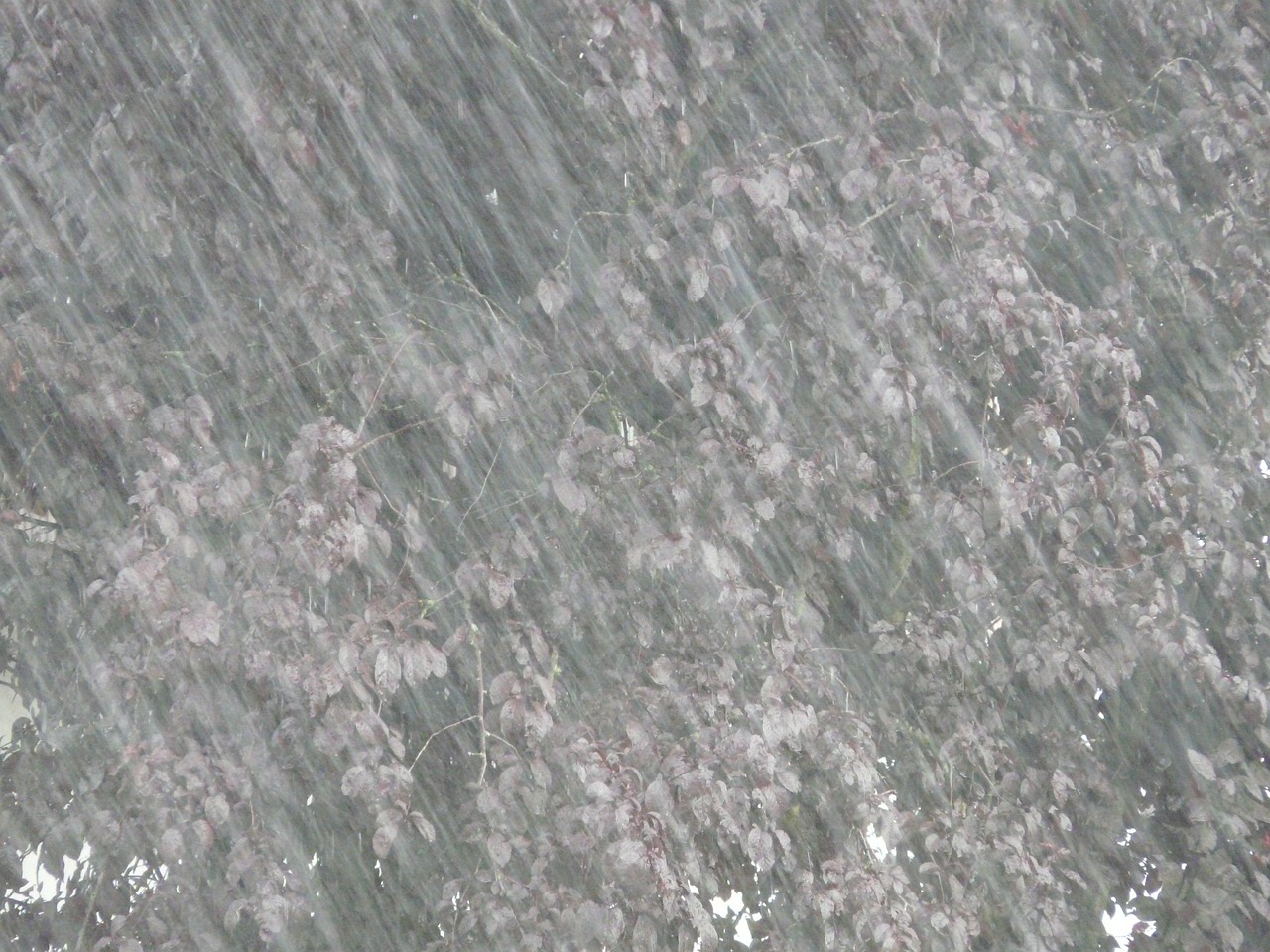全國暴雨洪災最新情況及分析報告