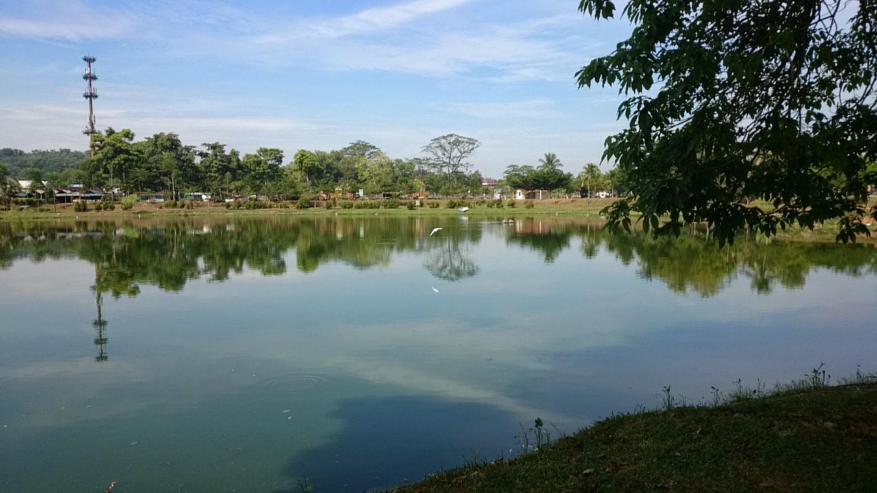 五月展望與解讀，綠地最新動(dòng)態(tài)揭秘