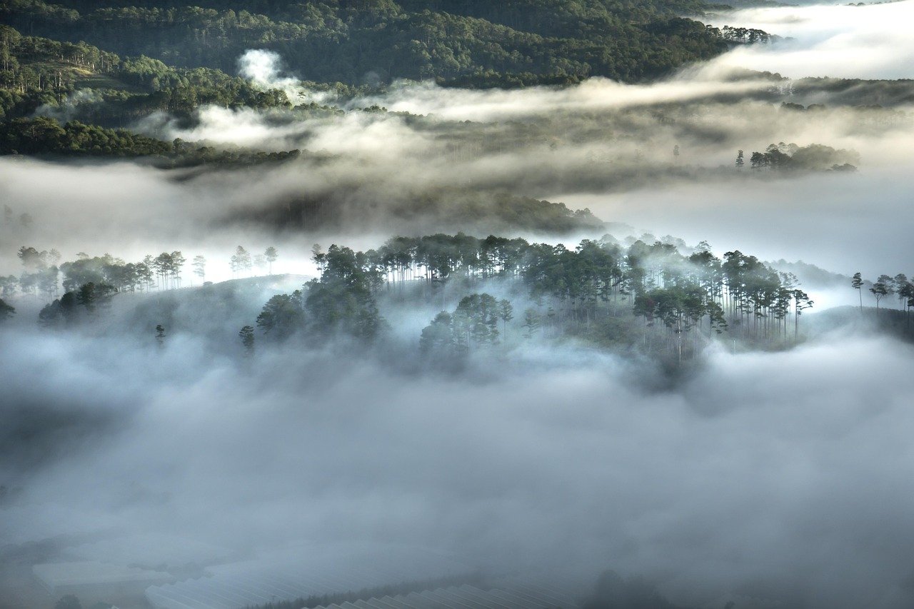 新疆地震網(wǎng)最新動態(tài)報告，五月今日地震消息更新